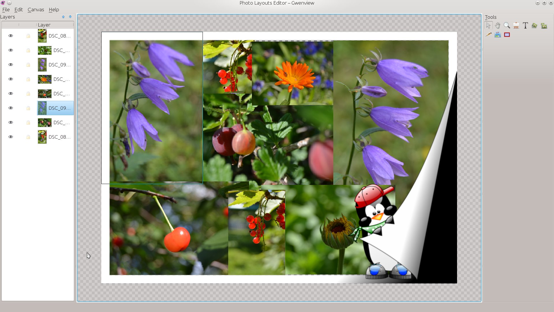 galleryimage:Photo Layout Editor, jolla voi valituista kuvistakoostaa kollaasin esimerkiksi tulostamistavarten.