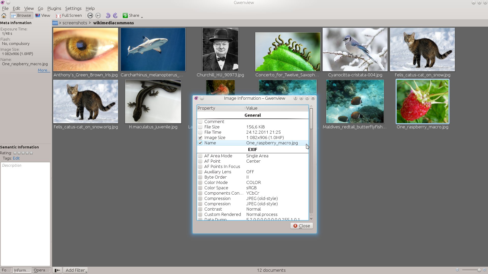 galleryimage:Kuvanmetatiedot.
