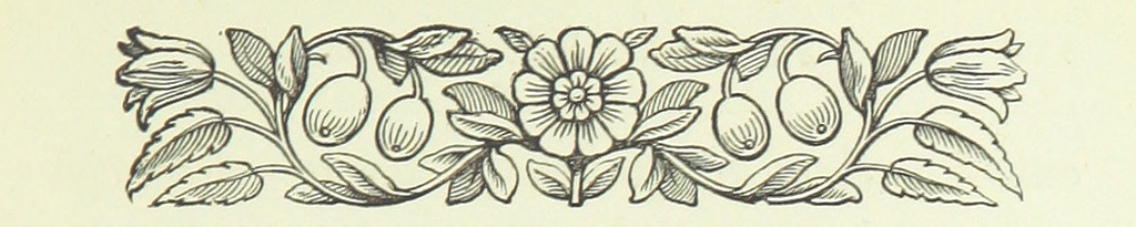 galleryimage:Koristekuvitusta: Image taken from page 225 of ‘Jackand Three Jills. Anovel’
