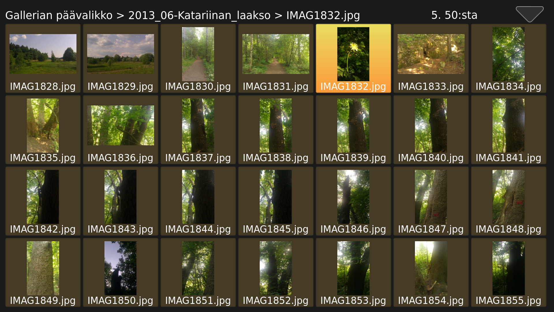 galleryimage:Kuvagallerian kuvat ovat selattavissakansioittain.